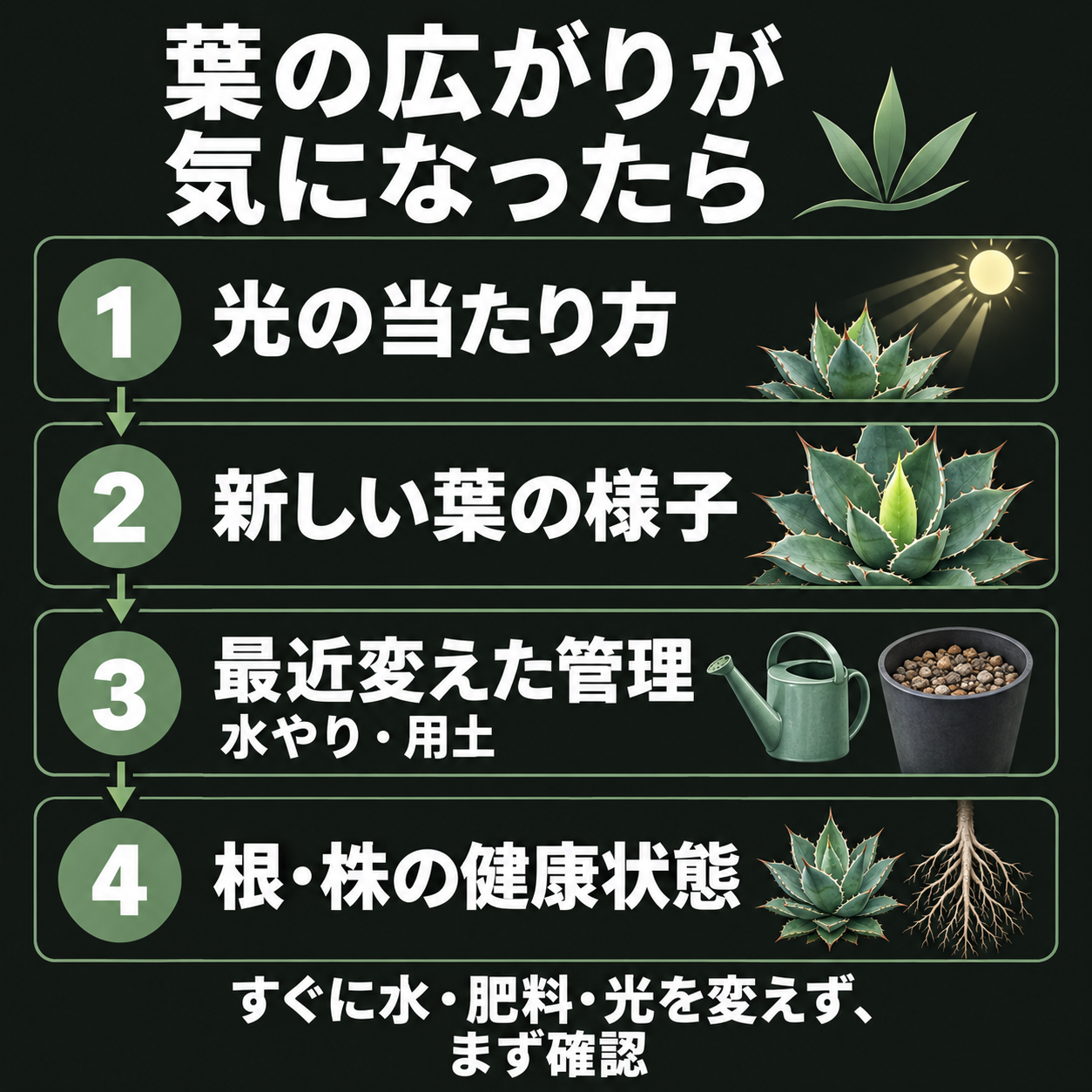 葉の広がりが気になったときに光、新しい葉、管理変更、根と株の健康を確認する順序