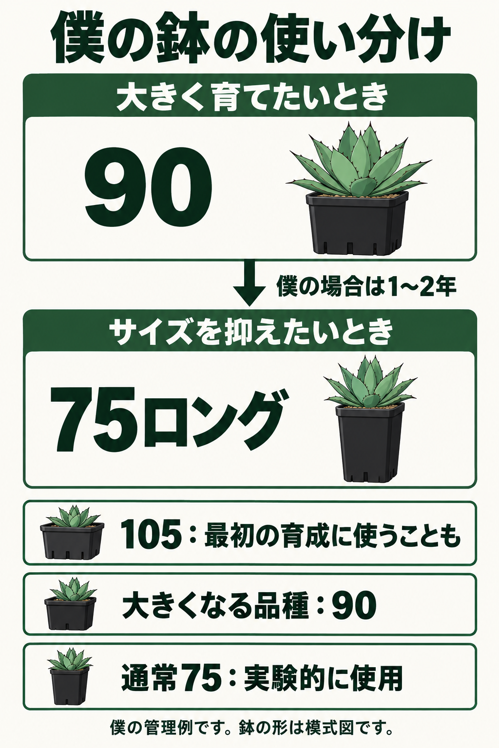 僕のプレステラ鉢の使い分け。90から僕の場合は1〜2年で75ロングへ移し、105は初期育成の別枠、通常75は実験的に使用